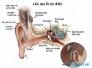 ảnh 2.jpg ảnh 2.jpg