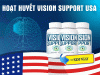 vision-support-usa-1.gif