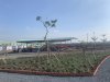 hinh thuc te hamilton garden cong vien.jpg hinh thuc te hamilton garden cong vien.jpg