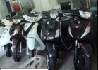 iby1482888169.jpg iby1482888169.jpg