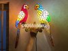 z2117195786151_646753ae7bb2cdf43bff5f84bfcdf75f.jpg z2117195786151_646753ae7bb2cdf43bff5f84bfcdf75f.jpg