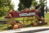 5678-Danville-Vermont-Autumn-on-the-green.jpg