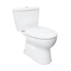 CS300DT2Y1.jpg CS300DT2Y1.jpg
