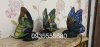 z2337360633941_ac89a92ee57aaa3e85adbaf963eadf4f.jpg z2337360633941_ac89a92ee57aaa3e85adbaf963eadf4f.jpg