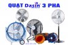 quat-dasin-3-pha-1213.jpg
