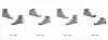 cung-cap-si-va-le-quan-lot-nam-nu-cong-ty-bao-tran-4.jpg cung-cap-si-va-le-quan-lot-nam-nu-cong-ty-bao-tran-4.jpg