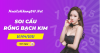 soi cầu rồng bạch kim ngày 20-04-2021.PNG soi cầu rồng bạch kim ngày 20-04-2021.PNG