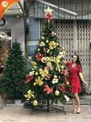 Cay_thong_noel_xanh_viet_han_3m_trang_tri_vang_do_750x1000.jpg Cay_thong_noel_xanh_viet_han_3m_trang_tri_vang_do_750x1000.jpg