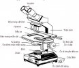 Microscope-video-LRS70TV-co-do-phong-dai-thap-phu-thich-hop-dong-may14.jpg