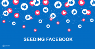 seeding-facebook-la-gi-1.png