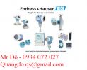 Endress Hauser 4.png