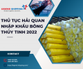 THỦ TỤC HẢI QUAN NHẬP KHẨU BÔNG THỦY TINH 2022.png