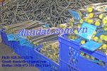 day-cap-binh-nong-lanh.jpg day-cap-binh-nong-lanh.jpg