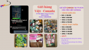 hcm -ca .png