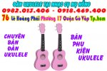 dan-ukulele-3.jpg