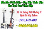 violin-dien-1.jpg violin-dien-1.jpg