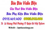 violin-dien-4.jpg violin-dien-4.jpg