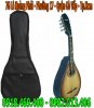 Bao-dan-mandolin (4).jpg