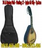 Bao-dan-mandolin (5).jpg