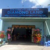 diamond land