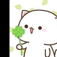 linhseo4