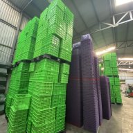 Pallet nhựa Việt Nhật